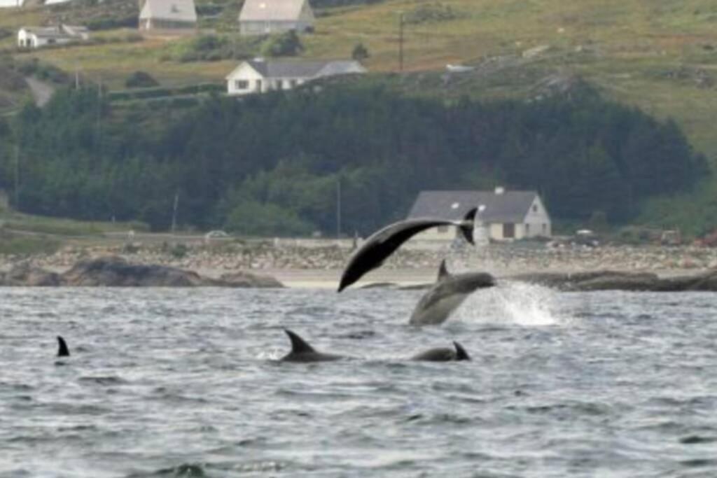 Atlantic View Apartment Dungloe Buitenkant foto